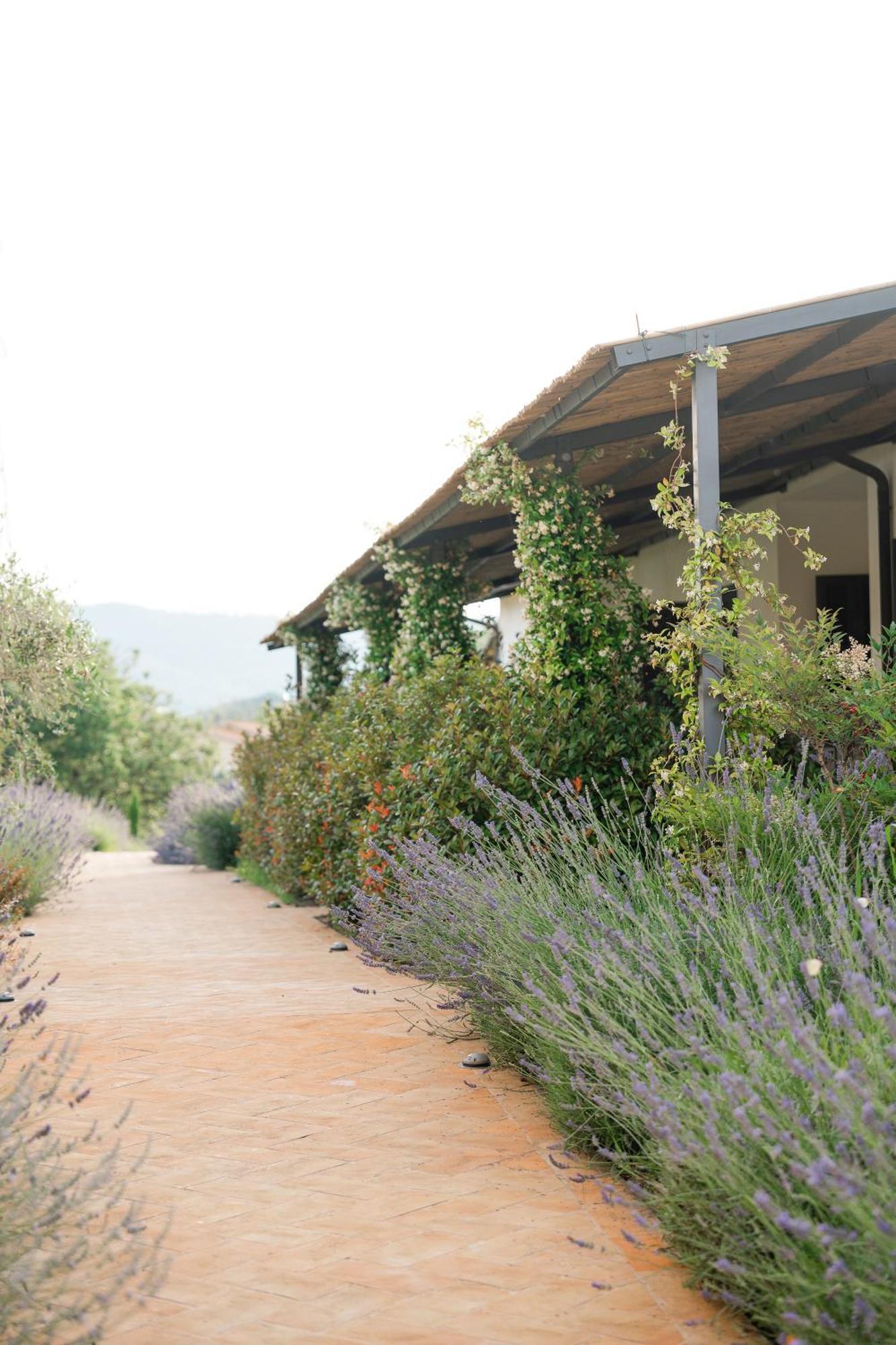 Hortus Natural Living Todi Zewnętrze zdjęcie